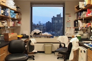 RU Event: Alexandra do Carmo – Studio Socialis, in discussion with Luisa Especial and Maud Jacquin. Fri Feb 1st, 2013 6-8pmFriday February 1, 2013, from 6 to 8 pm. free and open to the public. Location: Residency Unlimited 360 Court Street (green door) Brooklyn, NY 11231